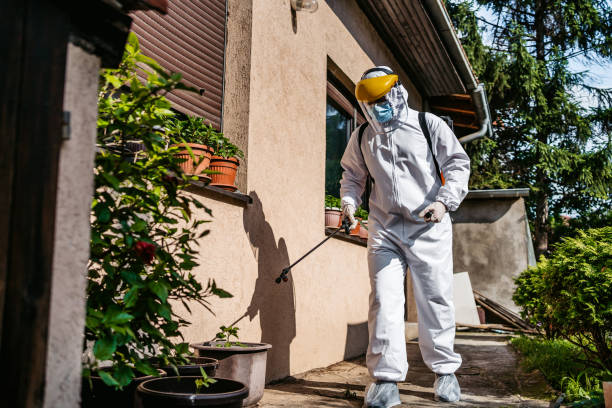 Best Commercial Pest Control Services  in New Beaver, PA